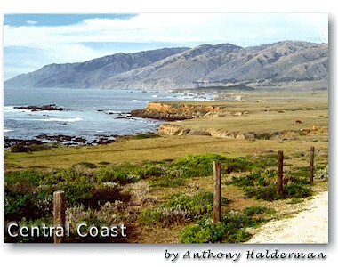 The Central Coast by Anthony Halderman