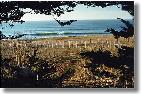 A California Reef