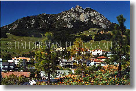 Spring in San Luis Obispo